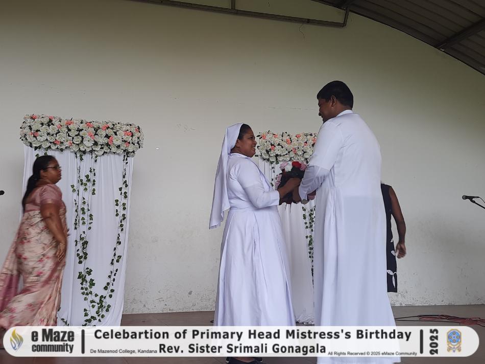 Image 14