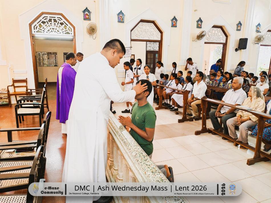 Image 14